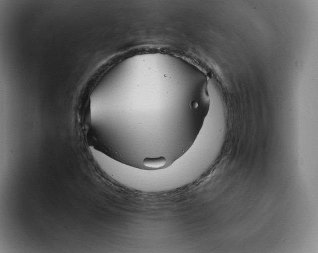 X0000091891352200709261632