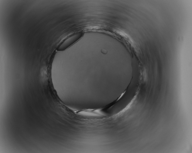 X0000091891353200709261632