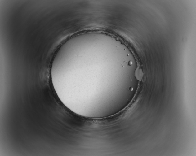 X0000091891355200709261632