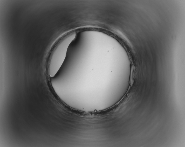 X0000091891360200709261632