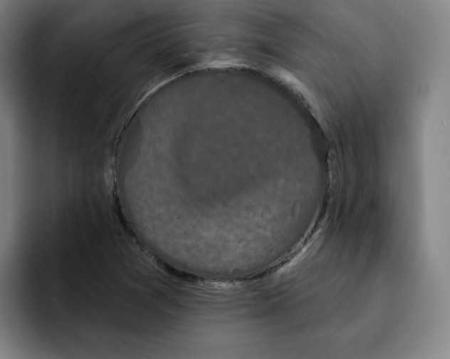 X0000091891361200709261632
