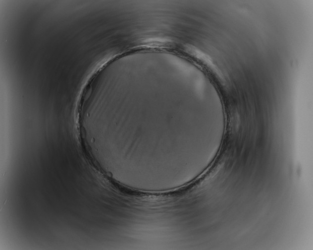 X0000091891362200709261632