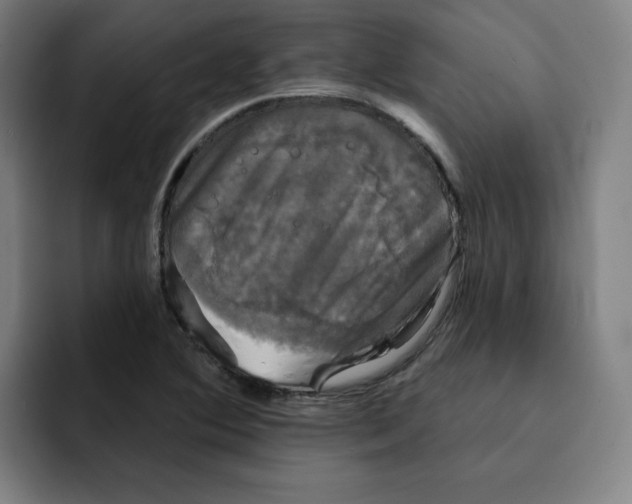 X0000091891364200709261632