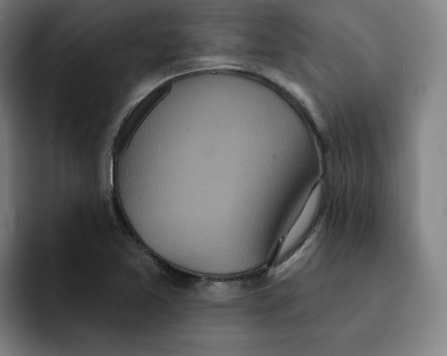 X0000091891365200709261632