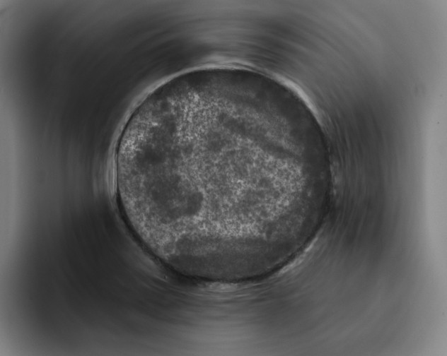 X0000091891371200709261632