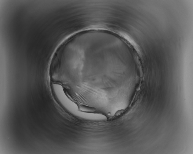 X0000091891372200709261632