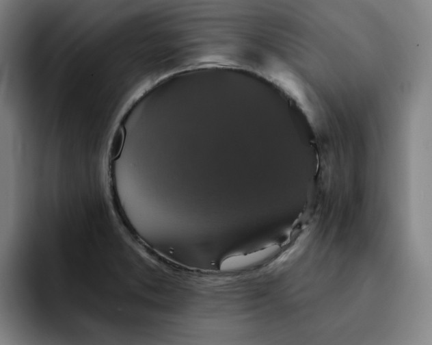 X0000091891373200709261632
