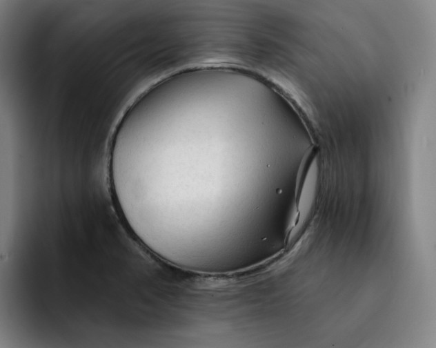 X0000091891374200709261632