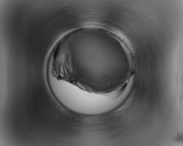 X0000091891376200709261631