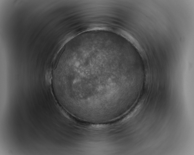 X0000091891377200709261631