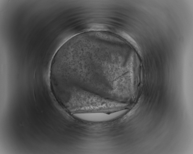 X0000091891378200709261631