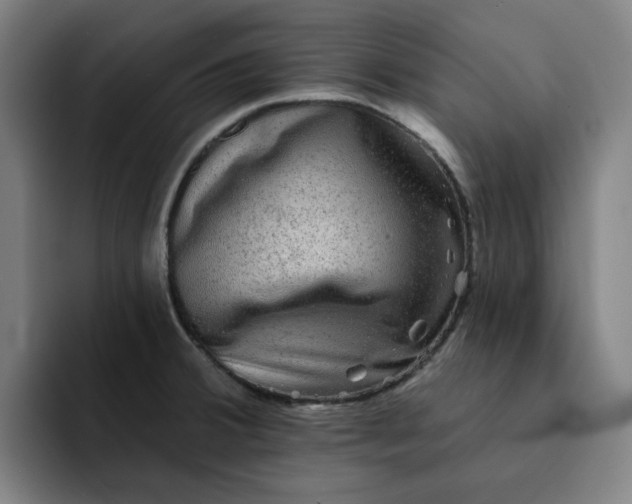 X0000091891380200709261631