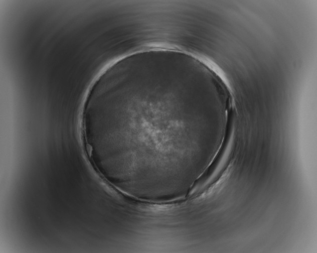 X0000091891381200709261631