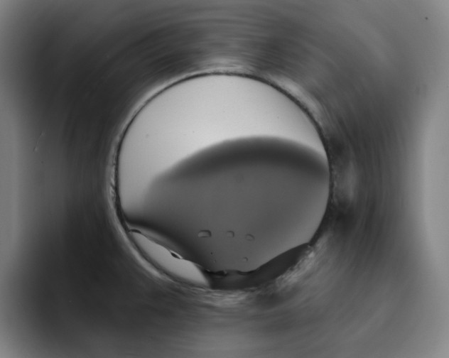 X0000091891383200709261631