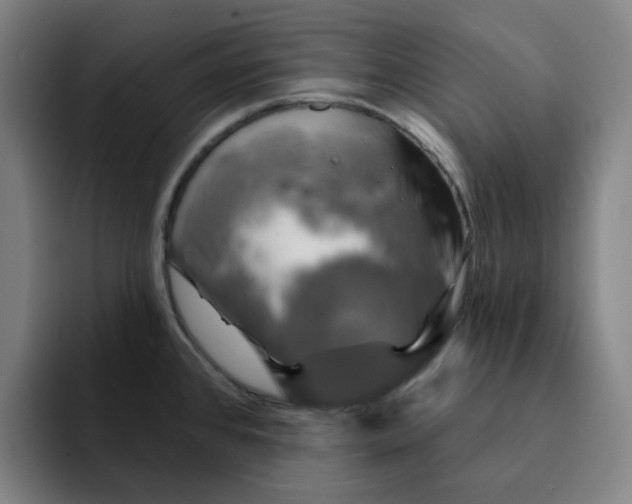 X0000091891384200709261631