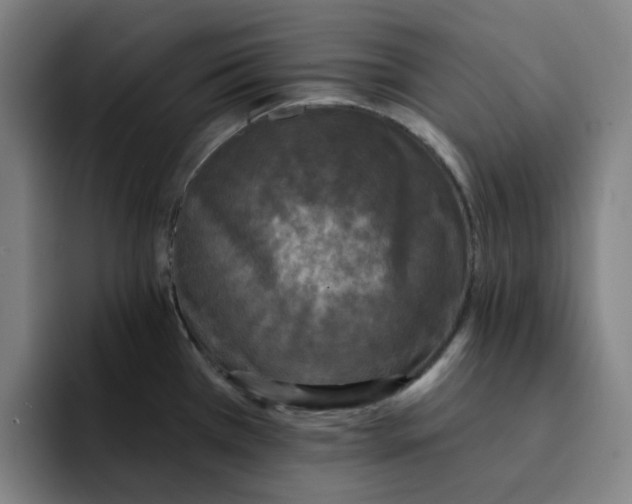 X0000091891385200709261631