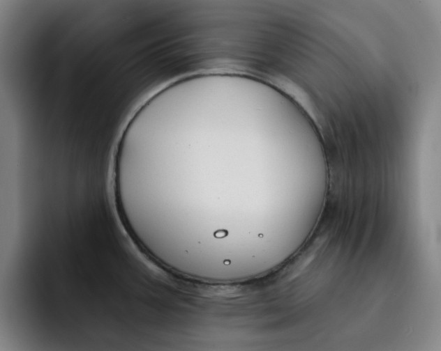 X0000091891387200709261631