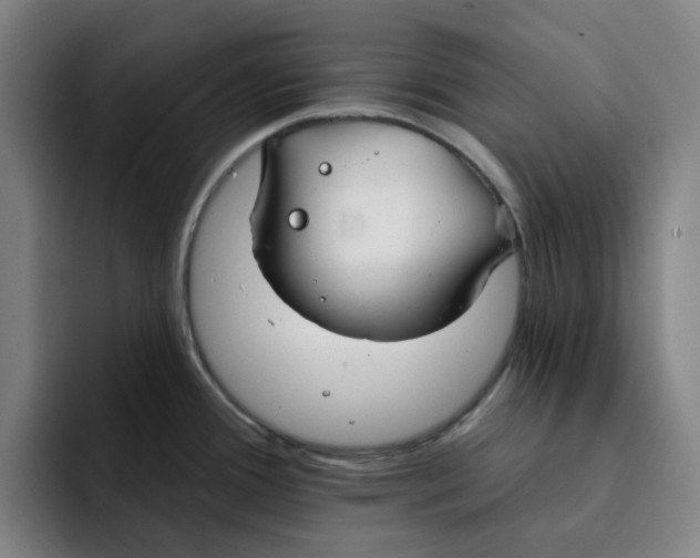 X0000091891388200709261631
