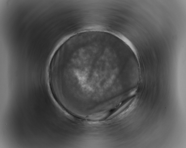 X0000091891389200709261631