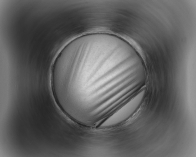 X0000091891390200709261631