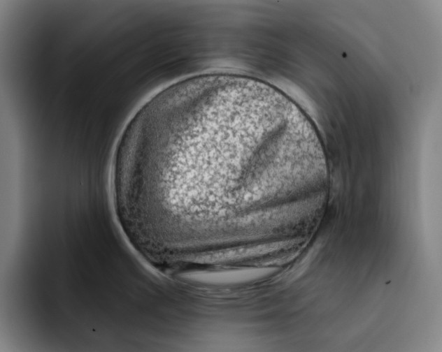 X0000091891391200709261631
