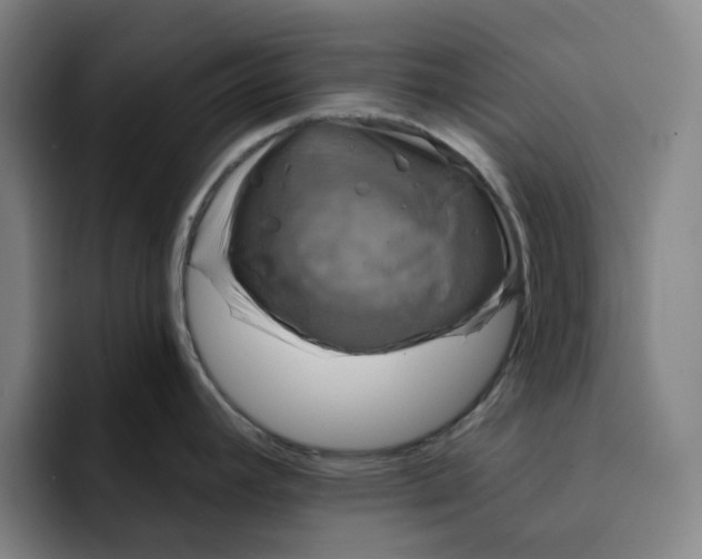 X0000091891392200709261631