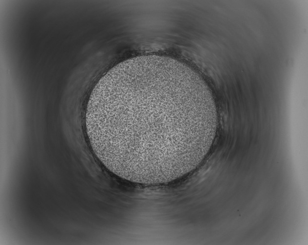 X0000091891393200709261631