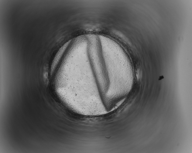 X0000091891396200709261631