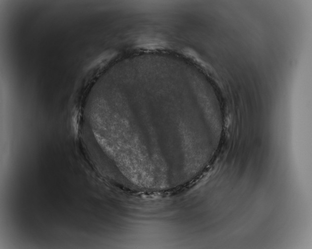 X0000091891398200709261631