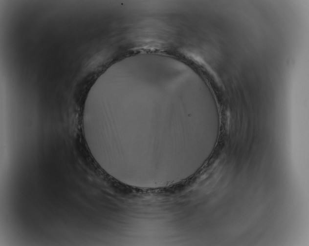 X0000091891399200709261631