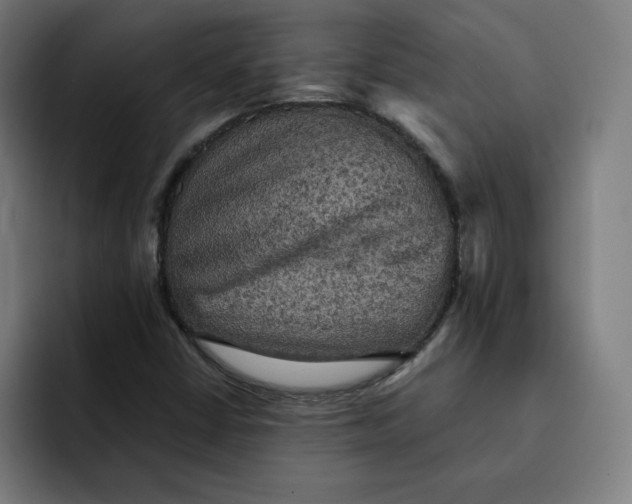 X0000091891402200709261631
