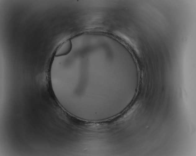 X0000091891405200709261631