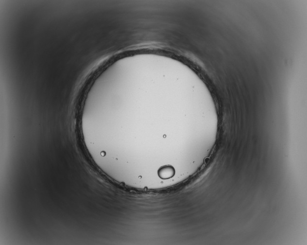 X0000091891406200709261631
