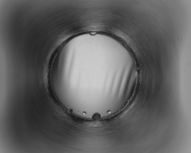 X0000091891410200709261631