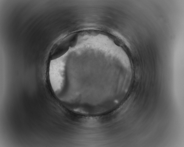 X0000091891411200709261631
