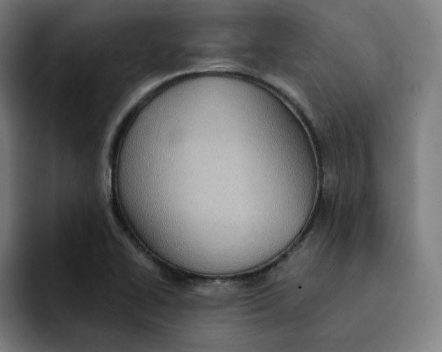 X0000091891414200709261631