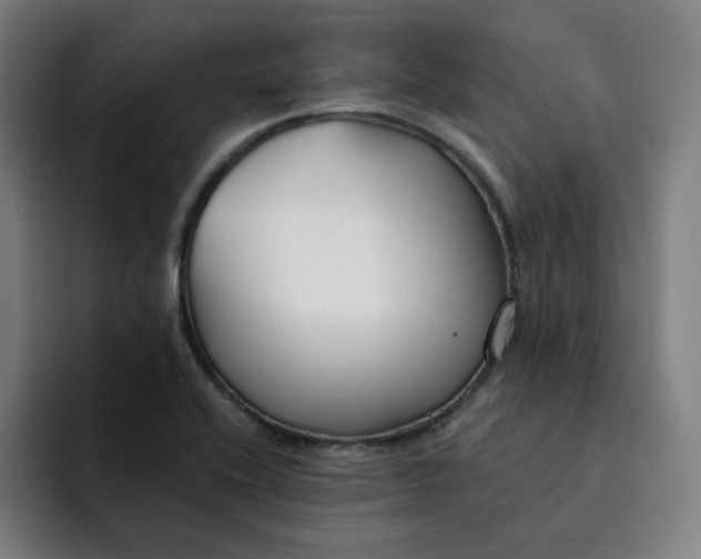X0000091891416200709261631