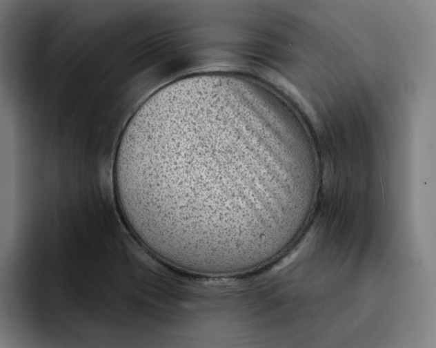X0000091891417200709261631