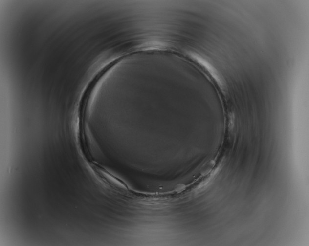 X0000091891418200709261631