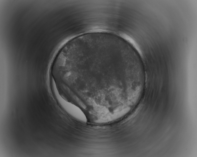X0000091891419200709261631