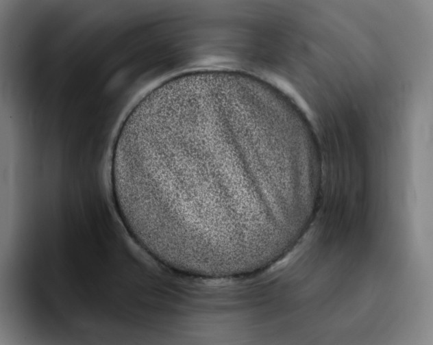 X0000091891421200709261631