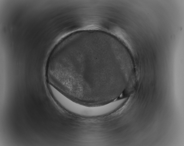 X0000091891422200709261631