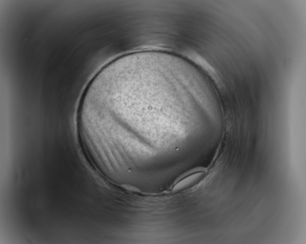 X0000091891423200709261631