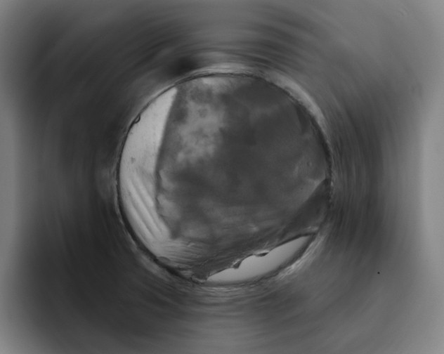 X0000091891425200709261631