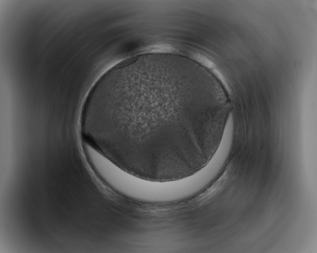 X0000091891426200709261631
