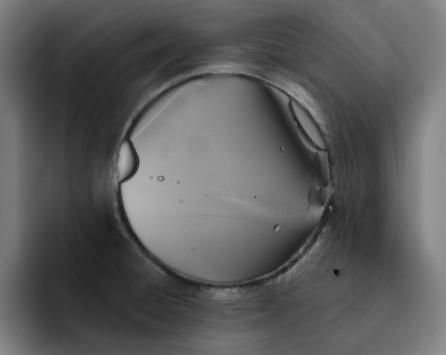 X0000091891428200709261631