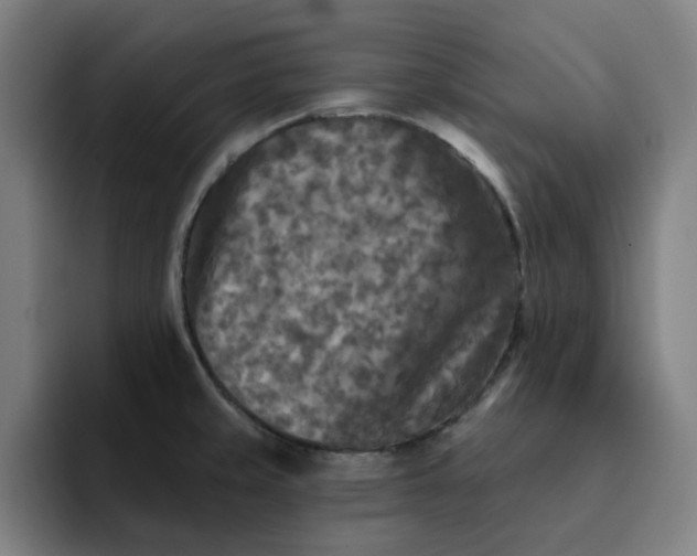 X0000091891429200709261631