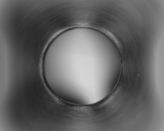 X0000091891432200709261631