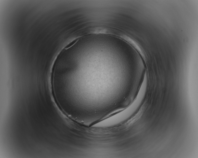 X0000091891434200709261631