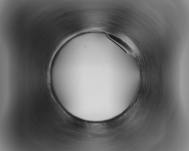 X0000091891436200709261631